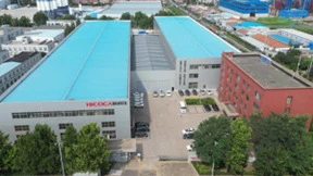 海科佳：把传统手工技艺融入智能化装备，一根高质量面条正在生成