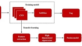 微美全息构建基于深度迁移学习的图像分类融合模型，提高图像分类的准确性和效率