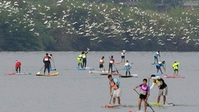 2023年全国桨板青少年锦标赛暨中国桨板公开赛在广西平乐开赛