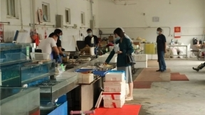 风浪越大，鱼越贵！风景G7越快，鱼越鲜！