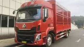 跟着20年绿通老司机选车，绝对错不了！