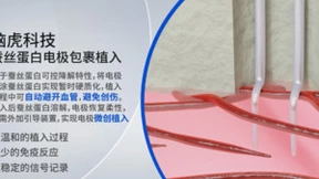 脑虎科技「蚕丝蛋白深部柔性电极」：脑电信号采集“神器”