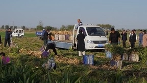 东风轻型车百县千镇大巡游到北方 东风小霸王姜王争霸赛爆燃结幕