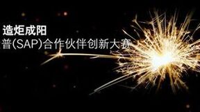 喜报！ITL荣获“SAP合作伙伴创新大赛”白金奖