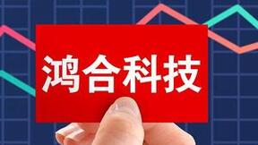 孙晓蔷挂帅董事长，引领海外并购新篇章