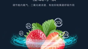 双十一，格力晶弘冰箱“鲜嫩科技”攻略，解锁新鲜美食秘诀！