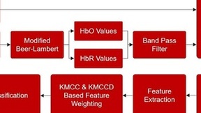 微美全息开发基于EEG和fNIRS的分类器优化方法助力脑部活动识别精准化