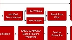 微美全息开发基于EEG和fNIRS的分类器优化方法助力脑部活动识别精准化