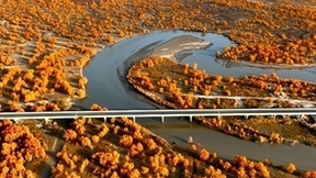 “沙狐之眸”作者再出神作 Vidda三色激光演绎新疆秋色