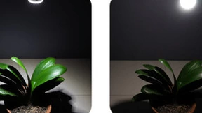 LED植物生长灯怎么做更有效？聚光和散热不能少！