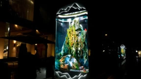 亟待爆发的COB显示市场，洲明科技如何执其牛耳？