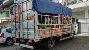 如何看待自动挡轻卡？运满满李师傅坚信“未来大趋势”