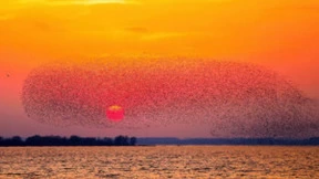 Lexar雷克沙影像创作大赛公布获奖作品，诠释城市人文影像的魅力