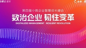 “云+AI”时代 金蝶云星辰助力小微企业穿越技术周期实现韧性成长