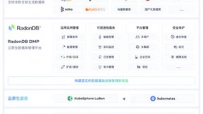 青云QingCloud助力客户真正实现DBaaS，RadonDB DMP 全新发布