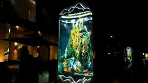 洲明：户外COB的零突破，LED直显拉开新赛道