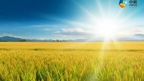 北京筑龙助力中粮集团采购供应链改革加速跑