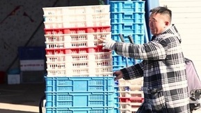 自动挡轻卡油耗高？听听蔬菜批发霍老板的真实体验