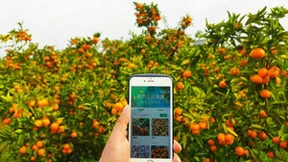 陕西移动数智赋能 助力乡村产业发展跑出“加速度”