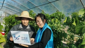 湖北移动“数智”赋能乡村蝶变 超百万村民过上“云”上生活