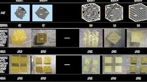 深圳大学增材制造研究所： RAYSHAPE打造工艺开源3D打印解决方案，赋能教育领域发展