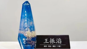 奥康国际董事长王振滔荣获“年度公益影响力人物”