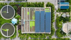 全球单体最大双孢菇基地注入澎湃绿能！日出东方又一分布式光伏力作全容量并网！