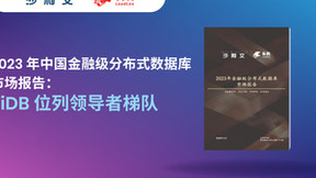 2023 年中国金融级分布式数据库市场报告：TiDB位列领导者梯队，创新能力与增长指数表现突出