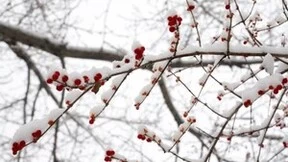 小寒滋补，火星人集成灶陪你温暖入冬，助您养生整个冬天