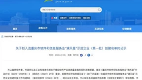 亚信科技旗下数智逻辑入选首批重庆市软件和信息服务业“满天星”示范企业