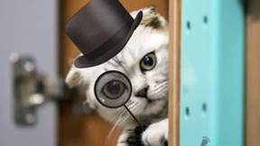 真相只有一个！安博通解开网络安全策略管理之谜