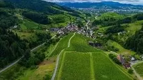 中法建交60周年，Aginode安捷诺（原耐克森通讯系统）献力中国“新基建”发展