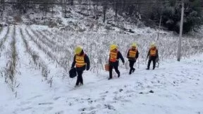 中国联通全力做好低温雨雪冰冻天气通信保障工作