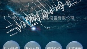 威尔特（广州）流体设备有限公司企业文化分析