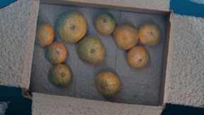 迈尔微视M4 Mega震撼发布，深受海外客户欢迎