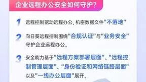 全方位保障企业远控安全，贝锐向日葵首发远程办公解决方案安全白皮书
