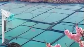 绘就智慧春耕新图景 天翼数字生活公司助力乡村振兴跑出“加速度”