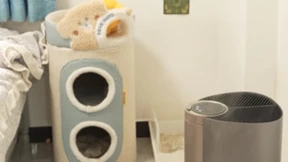 揭秘悦呼吸环境益生菌魔力：养宠家庭环境改善实测报告