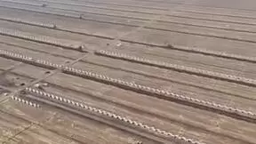 凯龙股份多措并举保障春耕备肥