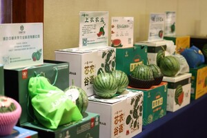 2024“一带一路”瓜菜产业发展大会即将震撼开幕