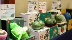 2024“一带一路”瓜菜产业发展大会即将震撼开幕