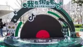 网易天成“我在街角有个它”公益行动收官，科学救助获千万人响应