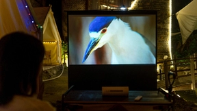 便携投影增添一员，坚果P5超强续航让家用投影进入无线时代