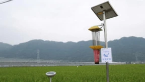 有“智”更有“质”，浙江春耕尽显“科技范儿”