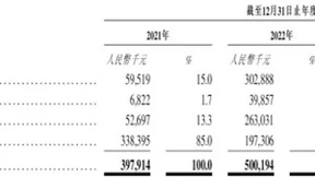 连续两年盈利的大模型公司 重掀港股打新狂潮