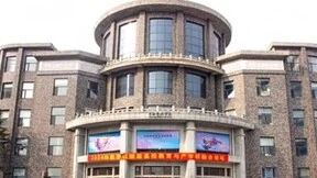 “2024功能游戏赋能高校教育与产学研融合论坛”召开