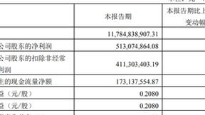 亨通光电2024Q1净利5.13亿元 同比增长29.87%