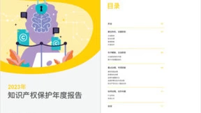 敦煌网发布《2023知识产权保护年度报告》 治理侵权商品7万件，多个品牌投诉量降幅超