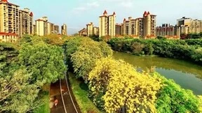 龙光地产：万般春色不如你