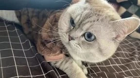 龙光地产：陪伴是礼物